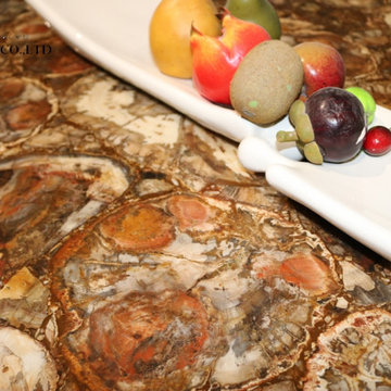 Petrified wood quartzite countertops