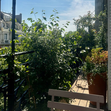 Aménagement paysager d'un balcon filant à Paris...
