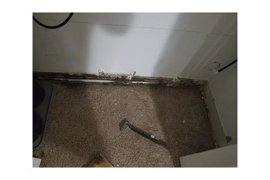 Mold Remediation in Youngstown, OH
