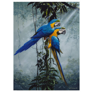 Harro Maass 'Blue And Yellow Macaws 2' Canvas Art, 47"x35"