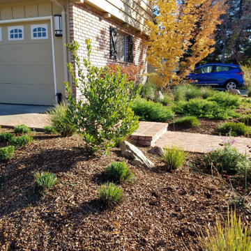 Saving Water and Supporting Wildlife with a Lawn Conversion