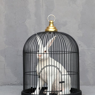 Eclectic Furniture and Accessories