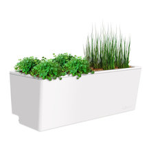 Planters