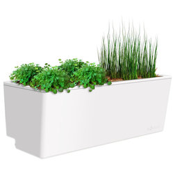 Contemporary Outdoor Pots And Planters by Glowpear