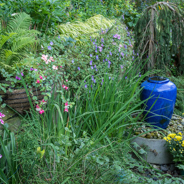 Small space- Big Impact Garden