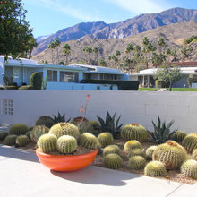 Palm springs patio
