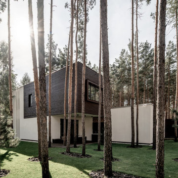 Residential Forest House in Ukraine - Live Minimalism