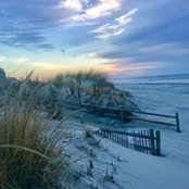 Mike Paley's photo