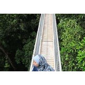 Roswan Ismail's photo