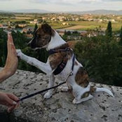 Carmen Carbune's photo