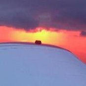 Sharon Chase's photo