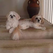 George Butler's photo