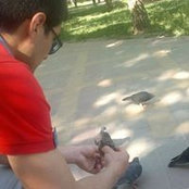 Timur Ismailovs foto