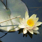 Foto de pushkin85