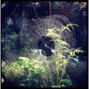Chantal Coady's photo