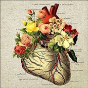 Lena Tochilina's photo