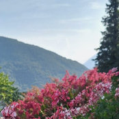 Renata Ny's photo