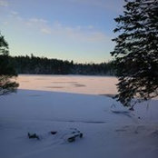 Jen Blom's photo