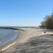 Gregory Belliveau's photo