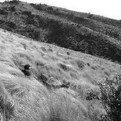 Giri Cahya's photo