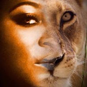 Alex Anderson's photo