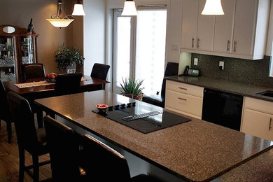 Example of a minimalist kitchen design in Other
