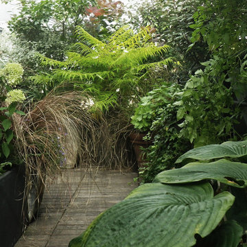Terrasse sur les toits de Paris