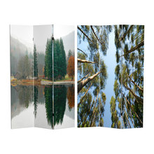 Room Dividers
