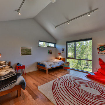 Modern European Mountain Home