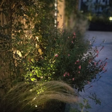 Viste notturne | Terrazzo al Pinciano, Roma