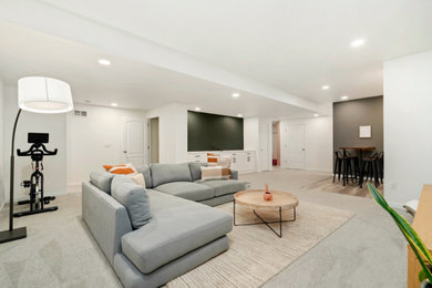 Basement - contemporary basement idea in Denver