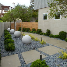 Landscape Ideas