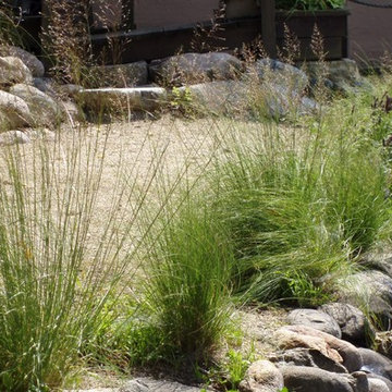Shoreline Protection