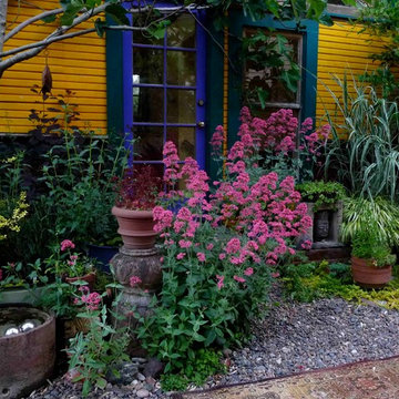 My Garden