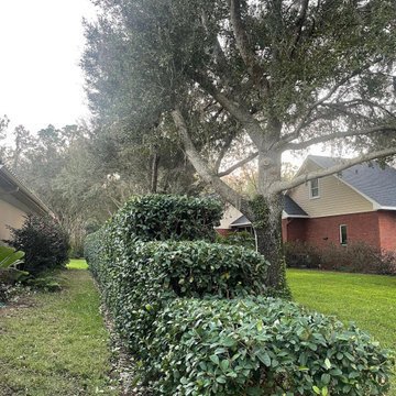 Hedges