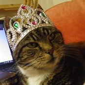 Peggy Allen's photo