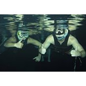 Neil Gentile's photo