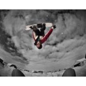 Jesse Cooke's photo