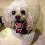 Jeanne Johns's photo