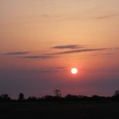 Tim Clark's photo