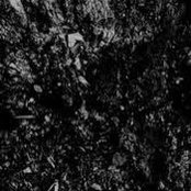 Etienne Dugas's photo