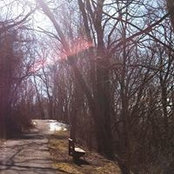 Brook Lauer's photo