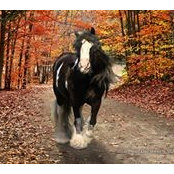 MaLinda Teboe's photo