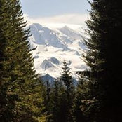 Foto von Megan Smith