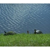 Jean Kauffeld's photo