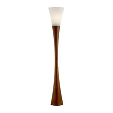 Floor Lamps