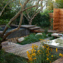 Pool Ideas