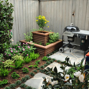 making small big in Spring Branch
