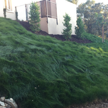 El Dorado Hills - Serrano Complete Landscape