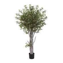 trees